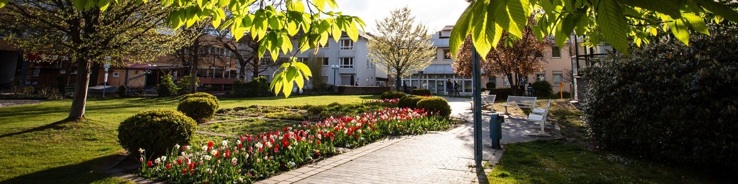 Weg durch Grünanlage mit Blumen und Blättern